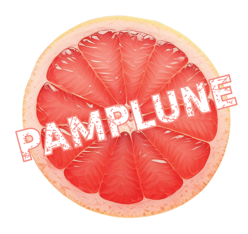 Pamplune